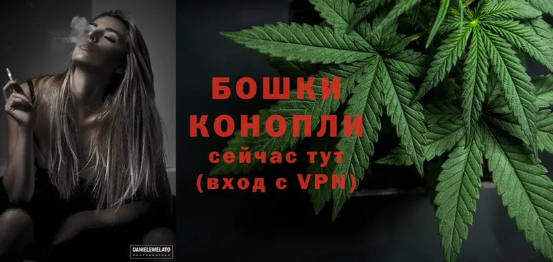 Канабис White Widow  Орехово-Зуево 